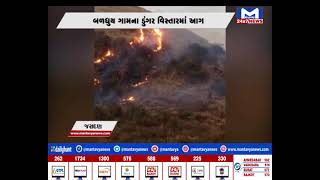 Jashdan બળધુય ગામના ડુંગર વિસ્તારમાં આગ | MantavyaNews