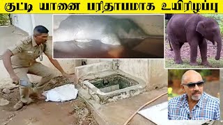 சத்தியராஜின் பங்களாவில் குட்டி யானை உயிரிழப்பு | 2 months infant elephant drowned in water tank