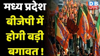 Madhya Pradesh BJP में होगी बड़ी बगावत ! Shivraj Singh Chouhan | Narayan Tripathi | Congress #dblive