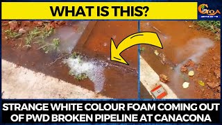 What is this? Strange white colour foam coming out of PWD broken pipeline at Canacona
