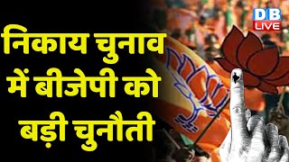 Nikay Chunav में BJP को बड़ी चुनौती | SP-Congress के उम्मीदवारों से BJP में हलचल | Breaking News |