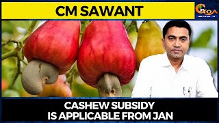 Cashew subsidy is applicable from Jan: CM Sawant