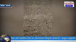 #नासिक में जोरदार बारिश के साथ गिरे ओले, अंगूर, अनार, प्याज की फसल हुई नष्ट। #bn #nasik #mh #barish