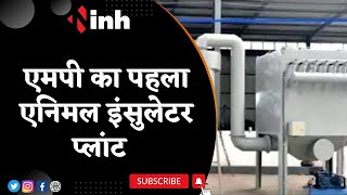 MP First Animal Insulator Plant in Bhopal | व्यवस्थित तरीके से पशुओं का दाह संस्कार