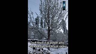 Shimla | snowfall | Rain