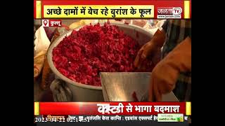 Kullu के जंगलों में खिले बुरांश के फूल, कई बिमारियों की अचूक दवा | Himachal Pradesh News | Janta Tv