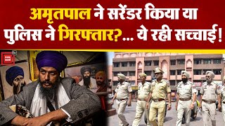 Amritpal ने सरेंडर किया या Punjab Police ने गिरफ्तार किया?, ये रही सच्चाई | Amritpal Singh Arrested