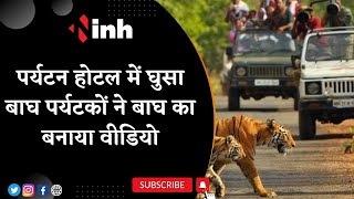 Panna Tiger Reserve: MP Tourism Hotel में घुसा बाघ | पर्यटकों ने बनाया बाघ का Video || MP News