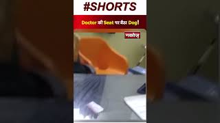 Viral Video : Doctor की कुर्सी पर आराम फरमा रहा कुत्ता, मरीज देखकर हैरान ! | Social Media | Viral |