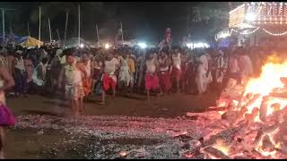 #Watch- Dhonds of goddess Lairai walk over a bed of burning coal
