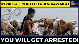 In Vasco, If you feed a dog raw meat. You will get arrested!
