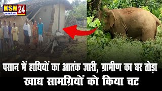 पसान/कोरबा: पसान में हाथियों का आतंक जारी,ग्रामीण का घर तोड़ा, खाद्य सामग्रियों को किया चट