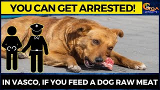 In Vasco, If you feed a dog raw meat. You can get arrested!