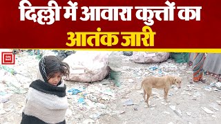 Delhi में आवारा कुत्तों का आतंक जारी, अब 7 साल की बच्ची को नोचा