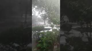 तेज हवा व बारिश, दिल्ली के वसंत कुंज में आज बुधवार दोपहर के वक्त