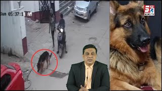German Shepherd Dog Hua Chori Hyderabad Habeeb Nagar Se | CCTV Footage |@SachNews