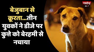 बेजुबान से क्रूरता...युवकों ने डीजे पर कुत्ते को बेरहमी से नचाया | Ajmer News | Hindi News