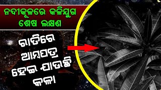 Miracle Happens Bank Of This River | Malika Place Unknown Facts Revealed | @SatyaBhanja