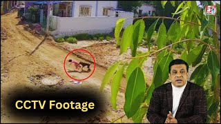 Ek Aur Masoom Junglee Kutto Ka Shikaar | CCTV Footage | Shaheen Nagar  Green City Phase 03|@SachNews
