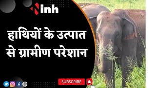 Dhamtari Elephant News: हाथियों के उत्पात से लोग परेशान | घंटों कलेक्टर के इंतजार में खड़े रहे लोग