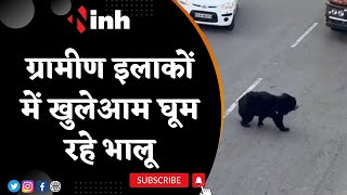 Viral Video : ग्रामीण इलाकों में खुलेआम घूम रहे भालू | वन अमला खदेड़ने में नाकाम | Latest News