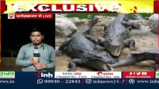 Barnawapara Sanctuary में लाखों की फिजूलखर्ची, Crocodile Park की दुर्गति से जिम्मेदारों का किनारा