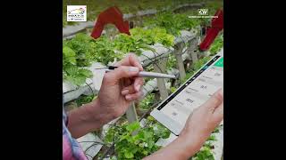 HOW CAN DIGITAL AGRICULTURE RESHAPE INDIA'S FARMING?
