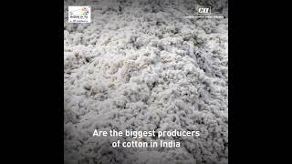 INDIAN COTTON INDUSTRY