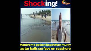 #Shocking! Mandrem's golden beach turn murky as tar balls surface on seashore
