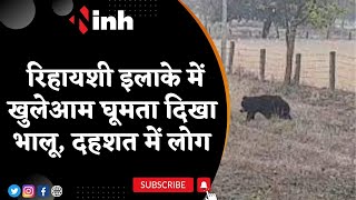 Bear Videos | रिहायशी इलाके में खुलेआम घूमता दिखा भालू, दहशत में लोग | Surajpur News | Latest News