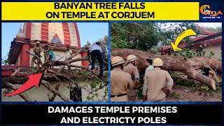 Banyan tree falls on temple at Corjuem. Damages temple premises and electricity poles