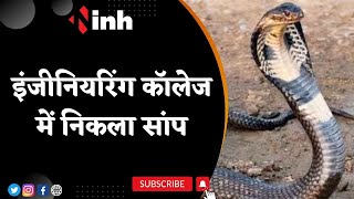Viral Video: Engineering College में निकला सांप | सर्प मित्र ने पकड़कर जंगल में छोड़ा | Snake