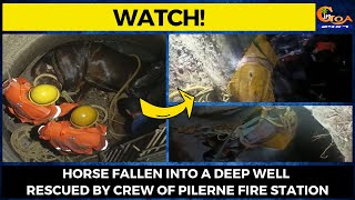 #Watch! Horse fallen into a deep well rescued by crew of Pilerne Fire Station