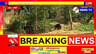 Rahe/जंगली भालू गिरा कुएं में सूचना पर पहुँचे वन विभाग के अधिकारी,ग्रामीणों की मद्दत से निकाला गया