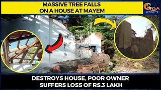 Massive tree falls on a house at Mayem, destroys house, Poor owner suffers loss of Rs.3 lakh