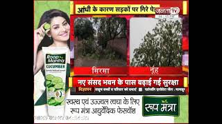 Sirsa और Nuh में दिखा आंधी का कहर, पेड़ गिरने से रेलवे लाइन प्रभावित | Janta Tv | Haryana News