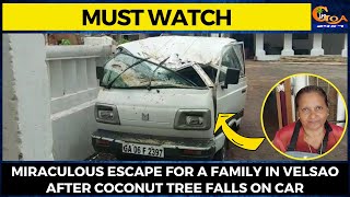 #MustWatch- Miraculous escape for a family in Velsao after coconut tree falls on car