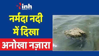 Jabalpur News: नर्मदा नदी में दिखा अनोखा नज़ारा पानी में तैरते हुए दिखे पत्थर..