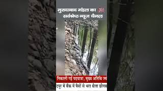 अमानगढ़ के जंगल में किंग कोबरा सांप शिकार करते हुए दिखाई दिया, कैमरे में हुआ कैद