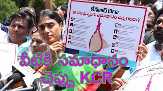 YS Sharmila Comments KCR Government | వీటికి సమాధానం చెప్పు కేసీఆర్ | s media
