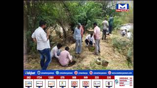 મંતવ્ય ન્યૂઝ દ્વારા મોરવાહડફ તાલુકાના નાટાપુર ગામે વૃક્ષરોપણ કરાયું  MantavyaNews