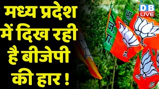 Madhya Pradesh में दिख रही है BJP की हार ! Rahul Gandhi | Jyotiraditya Scindia | KamalNath | #dblive