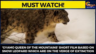'Gyamo Queen of the Mountains' short film based on snow leopard which are on the verge of extinction