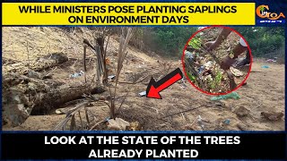 While Ministers pose planting saplings on Environment days. Look at the state of the trees