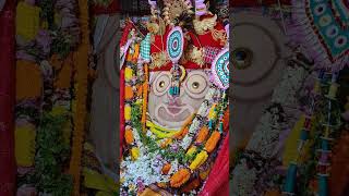 Live from Nemal Pitha | Sri Achyutananda Gadi | Nemal, Cuttack