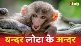 Monkey Viral Video: लोटे के अंदर फंसी बंदर की जान | पानी पीने की कोशिश में फंसा सिर