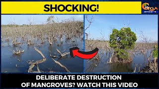 #Shocking! Deliberate destruction of mangroves? Watch this video