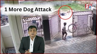 Dog Attack Ka Ek Aur CCTV Footage | 12 Saala Masoom Ladka Hua Shadeed Zakhmi | @SachNews
