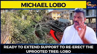 'Roots of the 200-year-old banyan tree cut deliberately': Lobo