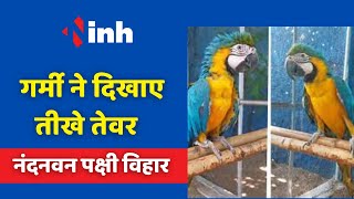 Nandanvan Bird Sanctuary में सुधार की दरकार | गर्मी ने दिखाए तीखे तेवर | Chhattisgarh Tourism News